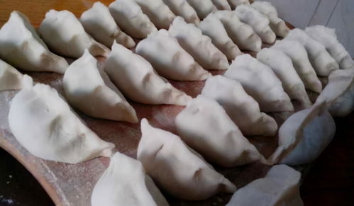 冰箱存餃有妙招，簡(jiǎn)單一步保鮮月余