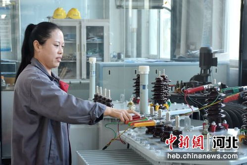 河北清苑 綠色工廠為經濟發(fā)展注入新動能，商務咨詢保駕護航